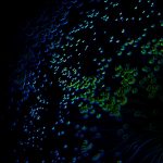 Triadis, mémoires de la lumière