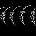 Struzz | 2015 May 23