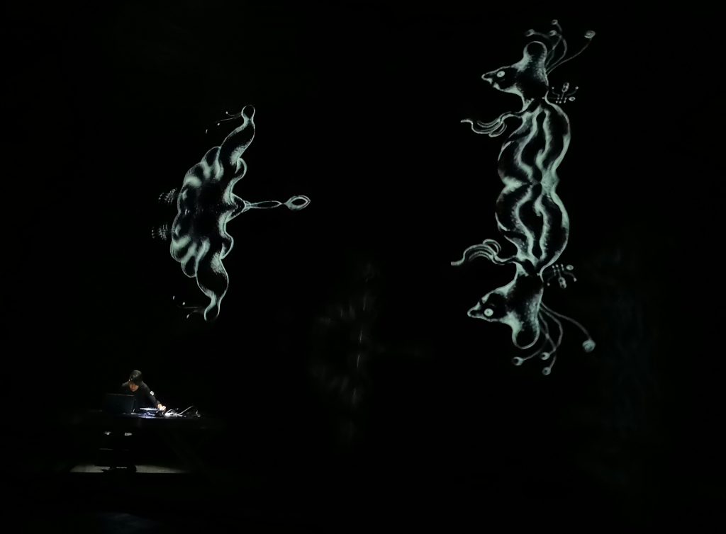 ElectroAnima Experiment | 28-05-19