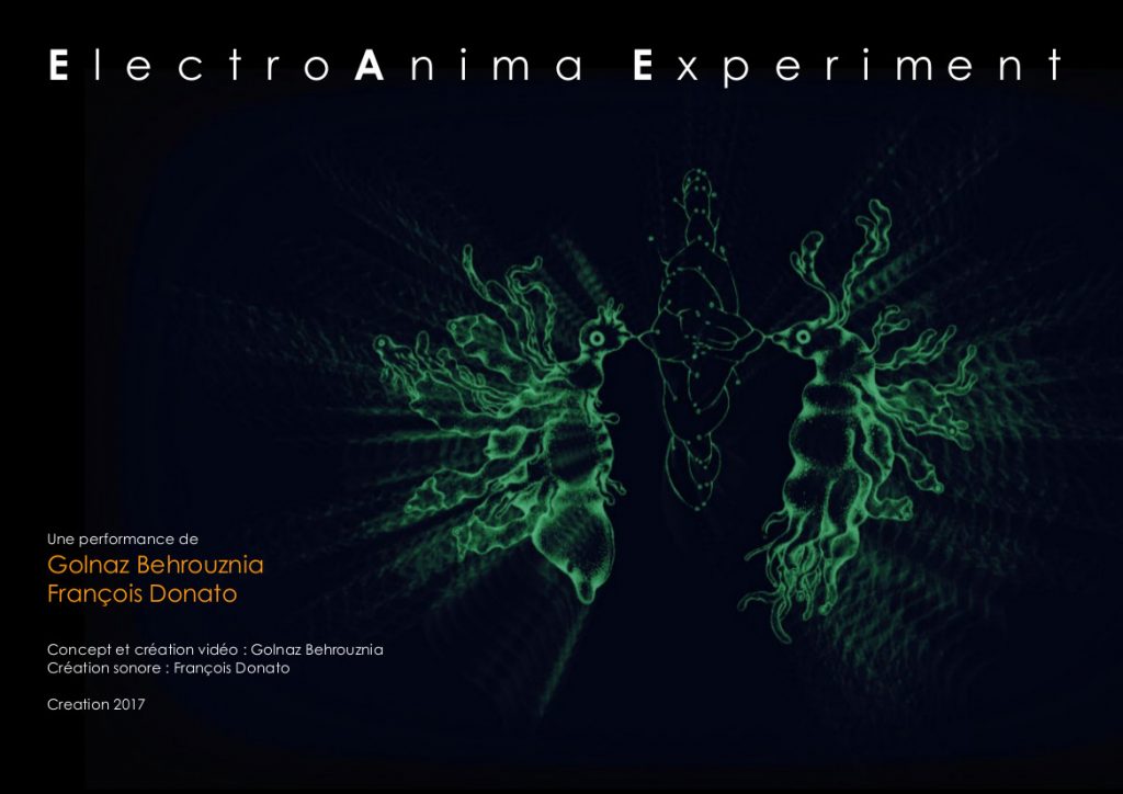 ElectroAnima Experiment @ Over The Real Festival