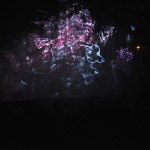 Lumina Fiction #2 | 18 au 21 mai 2017