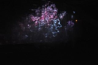 Lumina Fiction – Installation